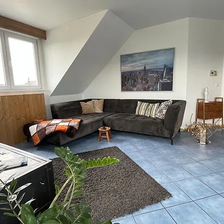 Apartmán Zum Schoenen Ausblick Weissenthurm