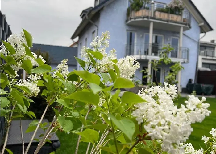 Zum Schoenen Ausblick Weissenthurm